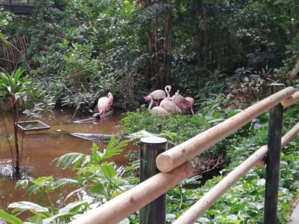 Gartenanlage Tropical Islands Resort