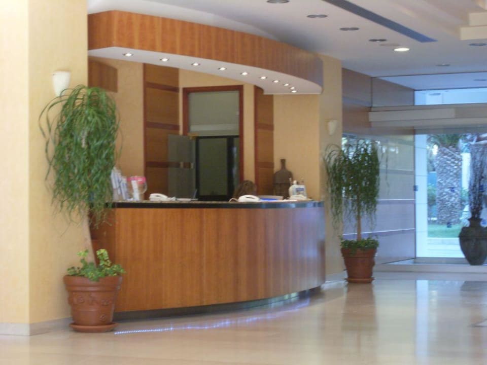 Rezeption Hotel Calypso Beach