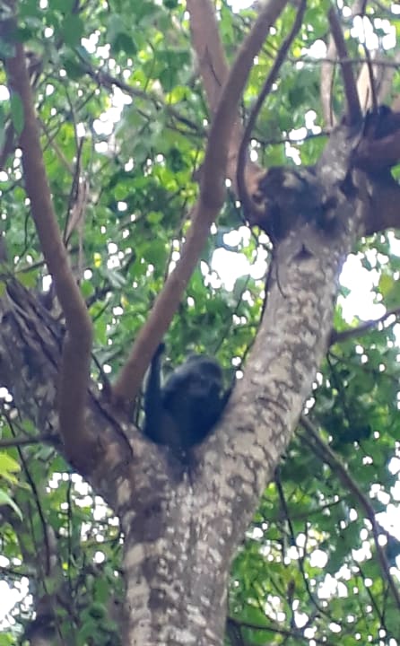 Gartenanlage Spice Island Hotel & Resort