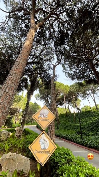 Gartenanlage Asteria Family Belek