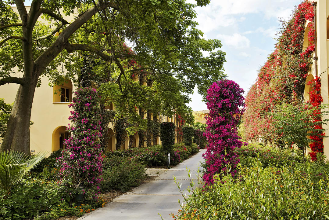 Gartenanlage TUI MAGIC LIFE Calabria