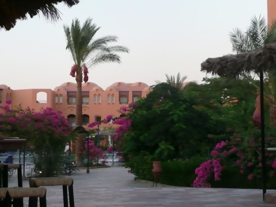 Geplegte Anlage Jaz Makadi Oasis Resort