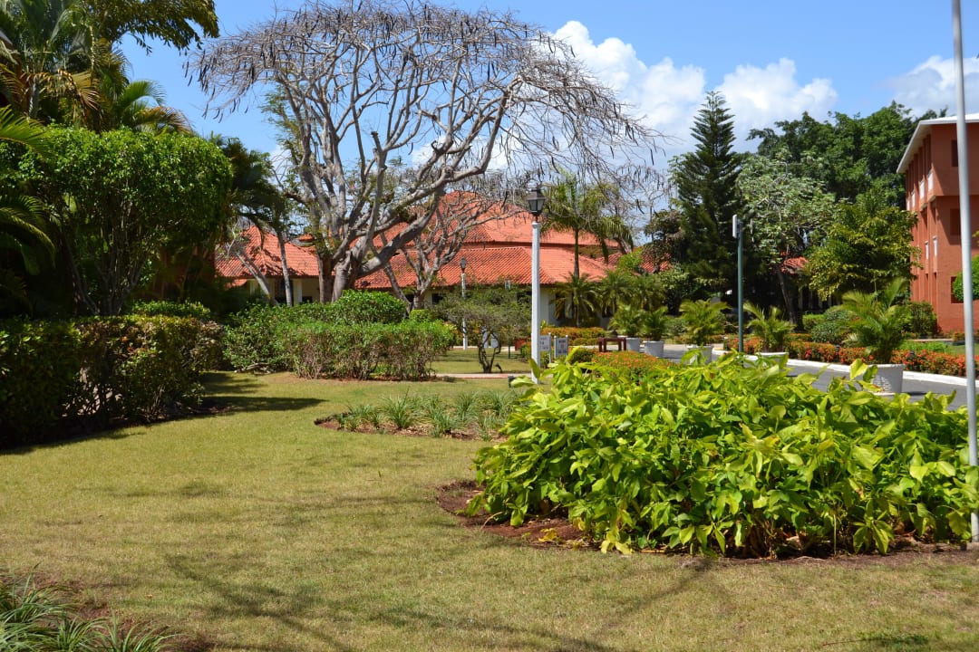 Garten BelleVue Dominican Bay