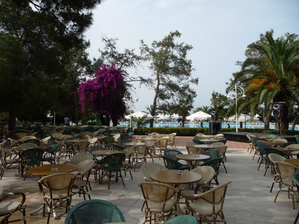 Sultan Bar Turquoise Hotel