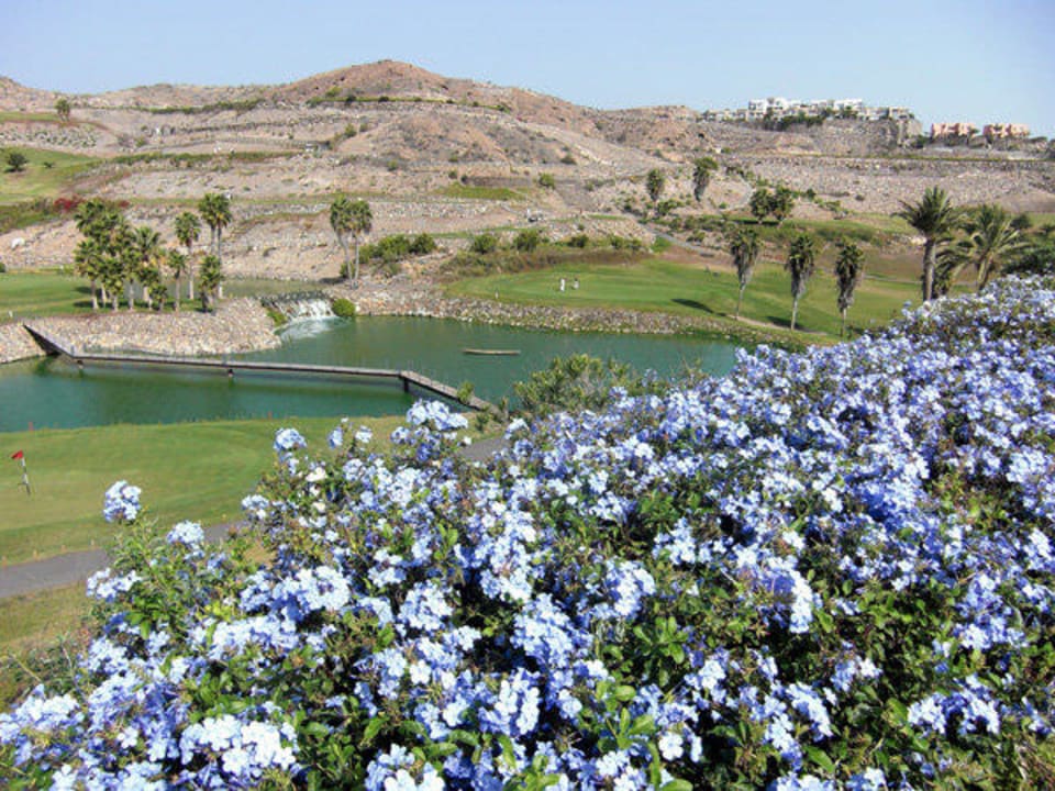 Wunderschöne Hecke Salobre Hotel Resort & Serenity