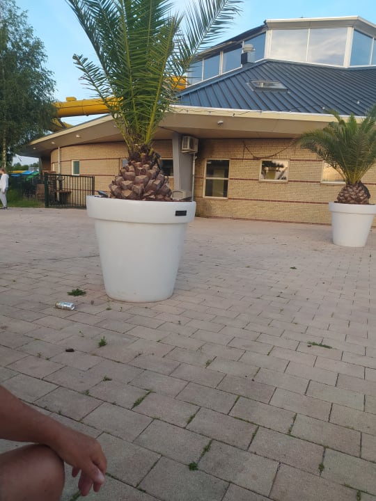 Außenansicht Oostappen Vakantiepark Prinsenmeer