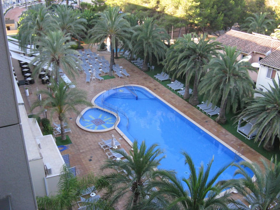 Ausblick auf den Pool Hotel Cosmopolitan