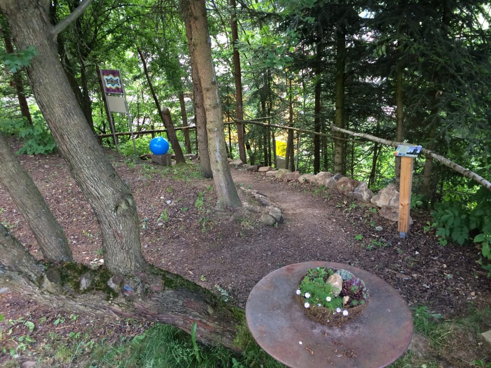 Gartenanlage Spirit & SPA Hotel Birkenhof am Elfenhain