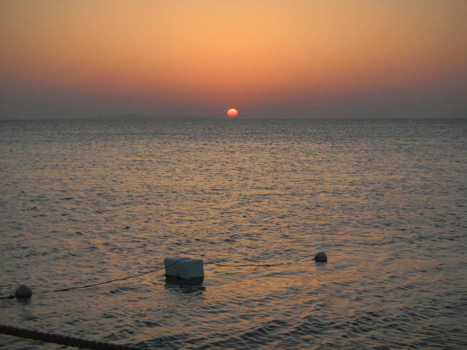 Sonnenaufgang Pickalbatros Palace Resort