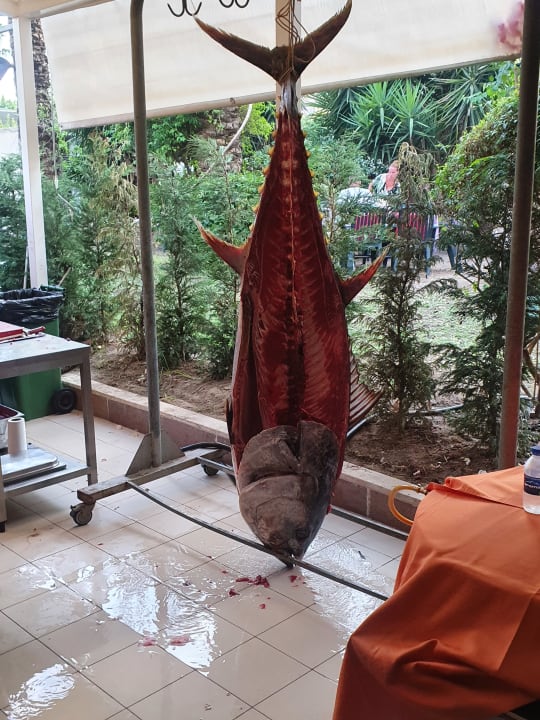 Gastro Calimera Hane Garden