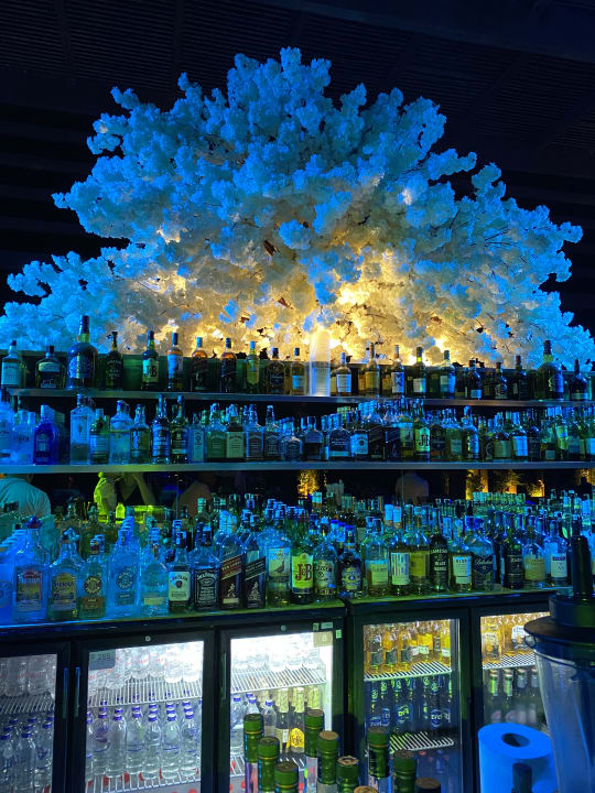 Gastro Rixos Premium Belek