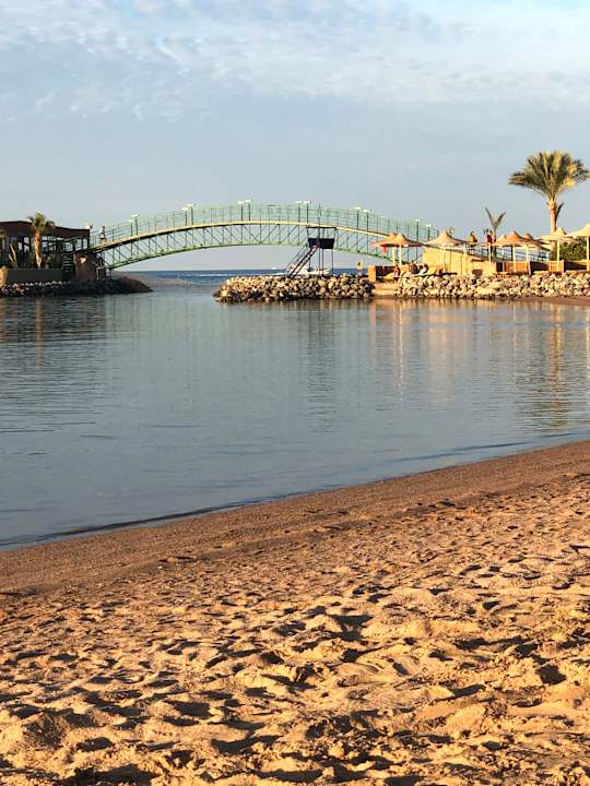 Ausblick Desert Rose