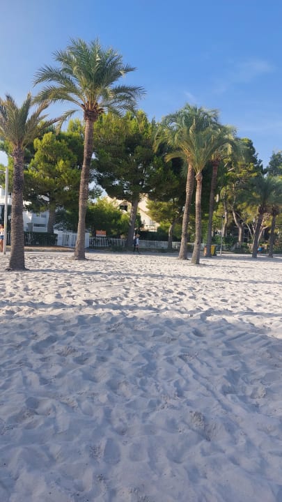 Strand Alcudia Garden Aparthotel