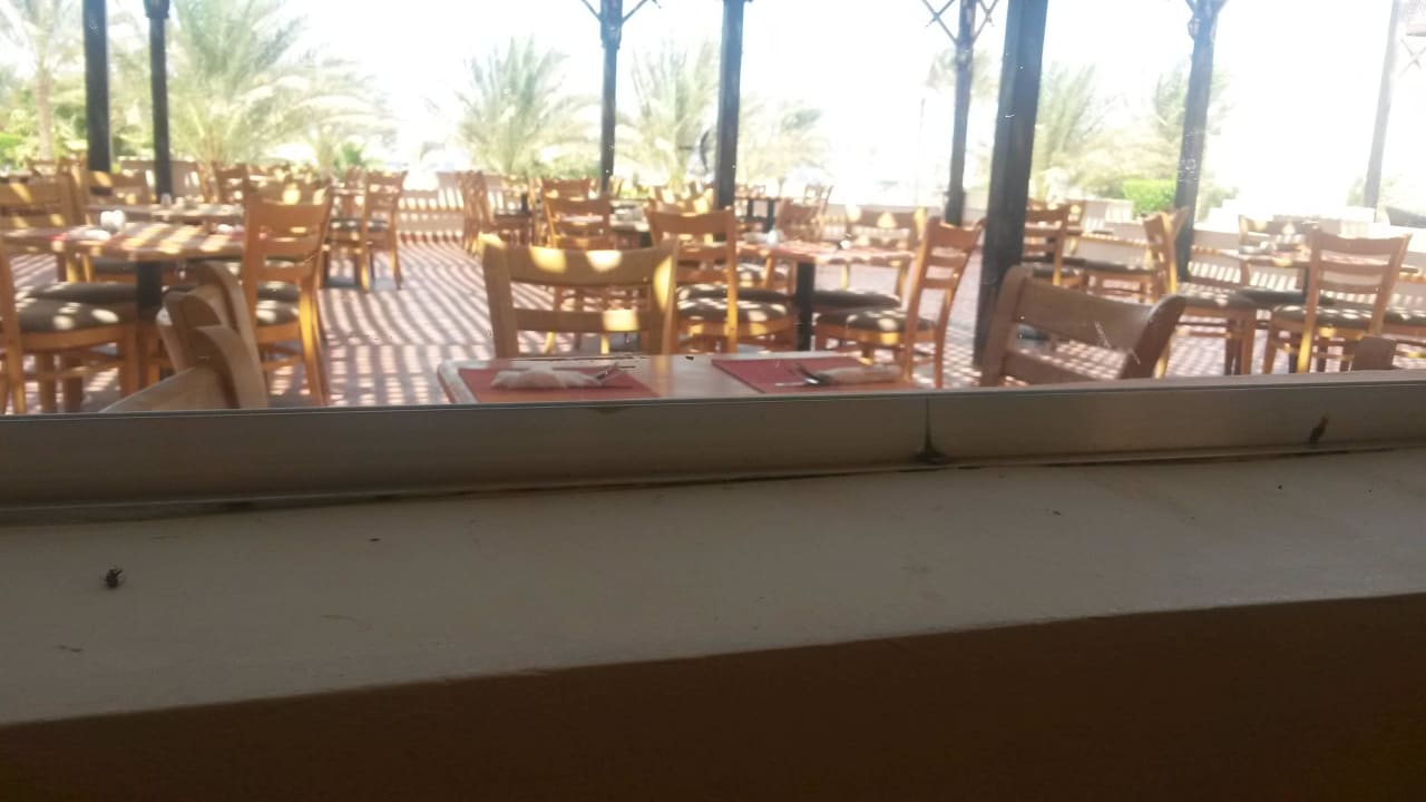 Tote Tiere Three Corners Sea Beach Resort