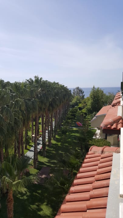 Blick vom Zimmer zur Palmenallee Hotel Gardenia Beach