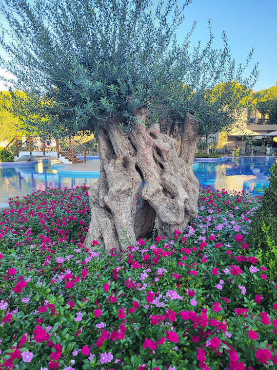 Gartenanlage Gloria Golf Resort