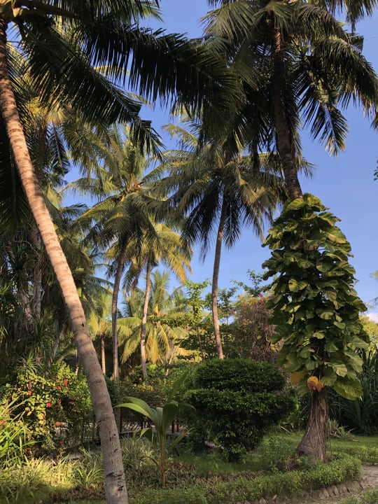 Gartenanlage Adaaran Select Meedhupparu Island Resort - Premium All Inclusive