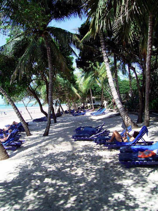 Strandterrasse LTI Kaskazi Kaskazi Beach Resort