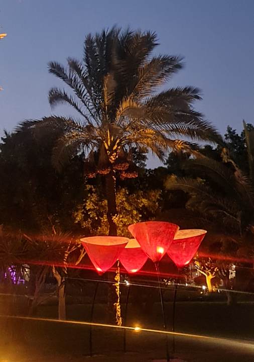 Gartenanlage Desert Rose