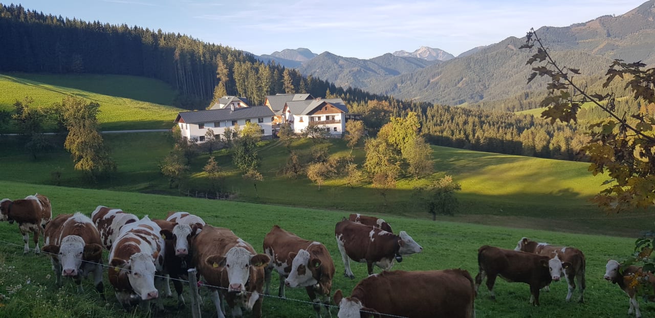 Ausblick Bergbauernhof Klein Schöntal