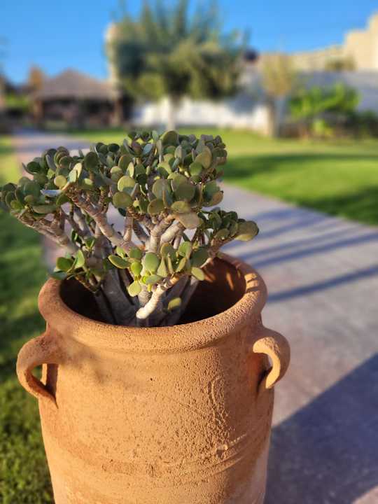 Außenansicht High Beach Resort