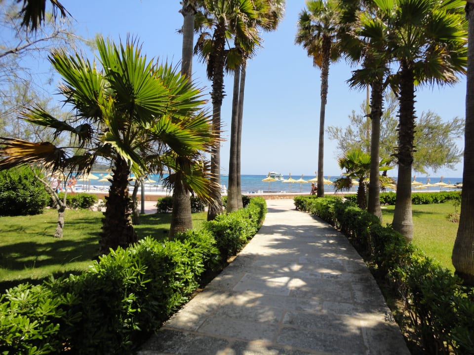 Weg zum Strand  Hipotels Mediterraneo