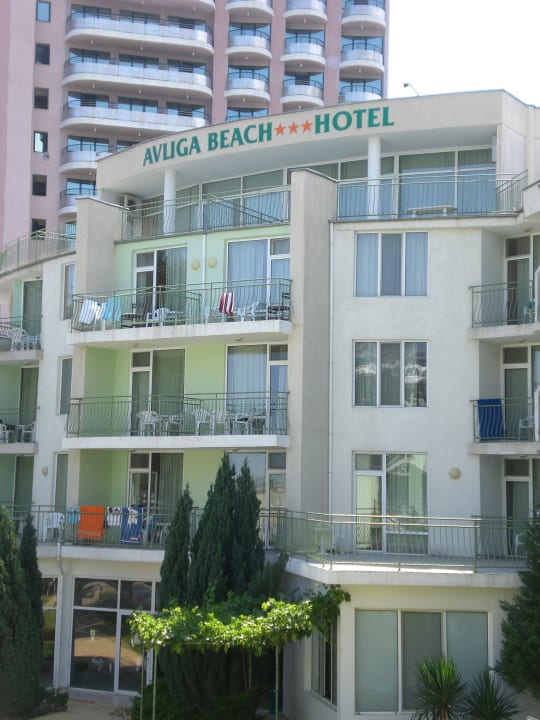 Von der Poolseite Flamingo Beach Hotel