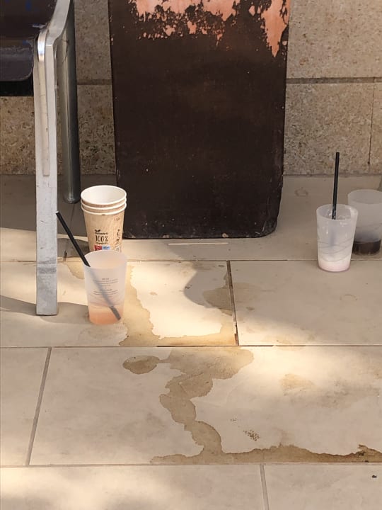 Pool Grupotel Alcudia Pins