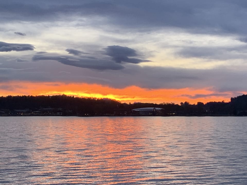 Ausblick Hotel garni Möwe am See