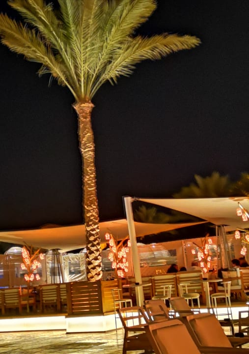 Gartenanlage Desert Rose