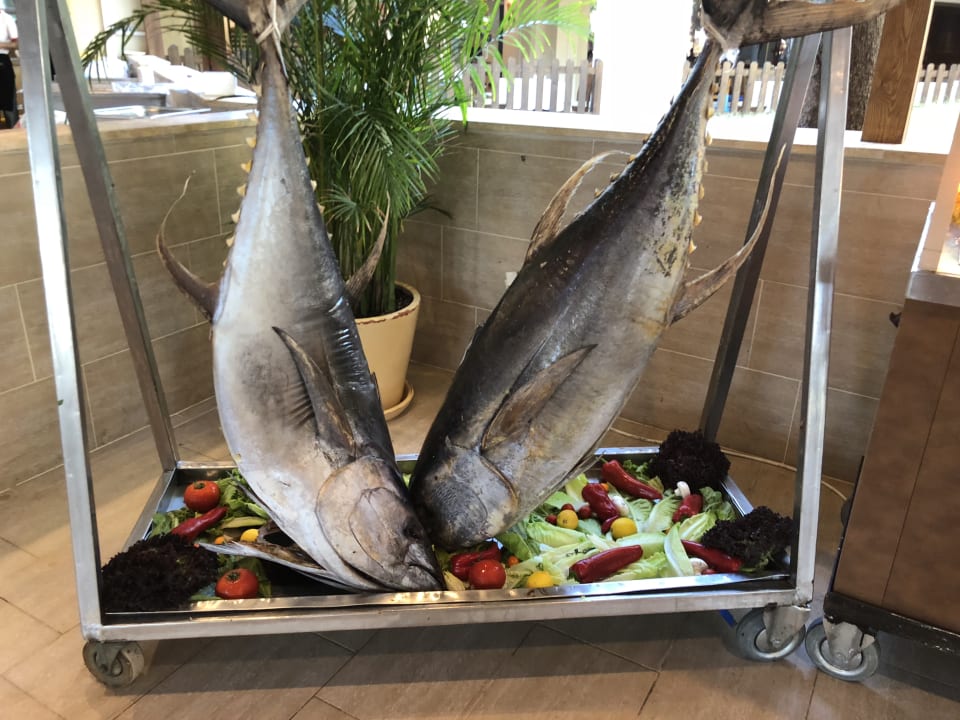 Gastro Monachus Family Resort Sorgun