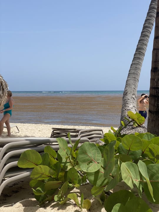 Strand TRS Turquesa Hotel - Adults only