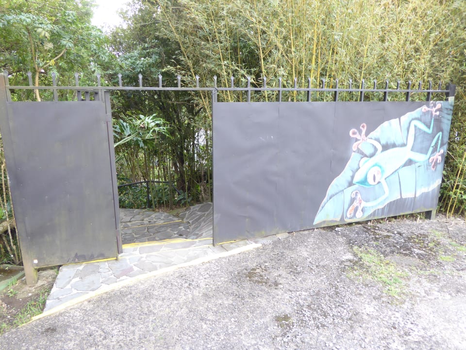 Gartenanlage Hotel Montana Monteverde