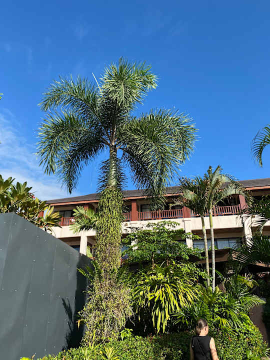 Außenansicht Samui Jasmine Resort