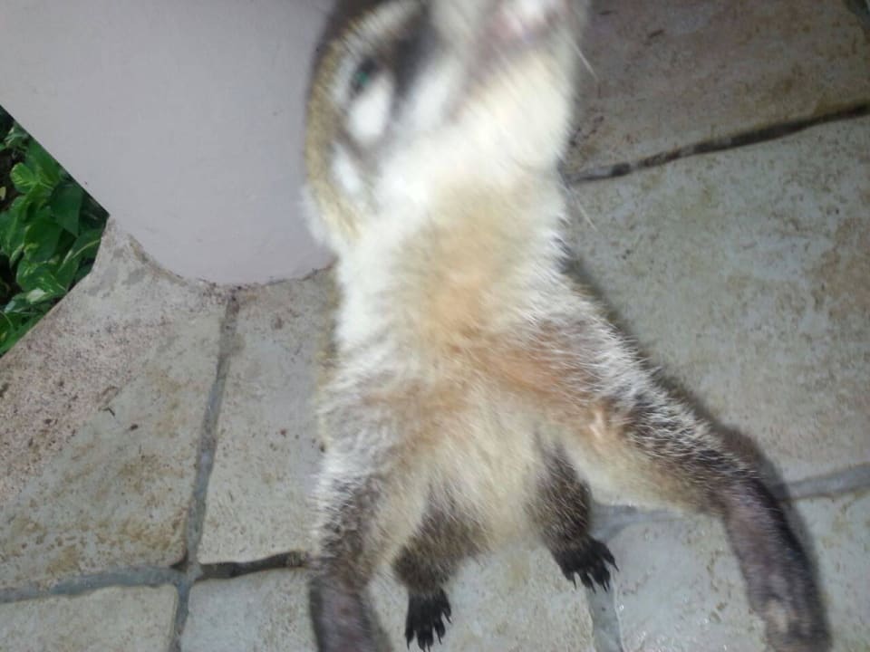 Hotel Catalonia Playa Maroma Catalonia Playa Maroma