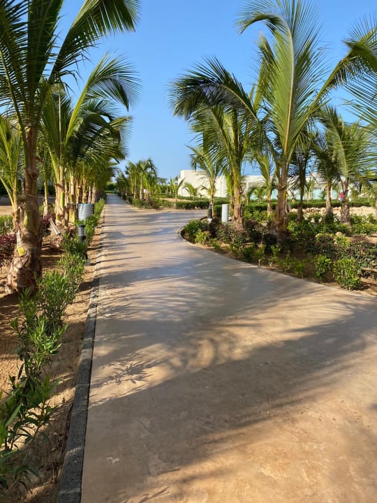 Gartenanlage Hotel Riu Palace Boavista