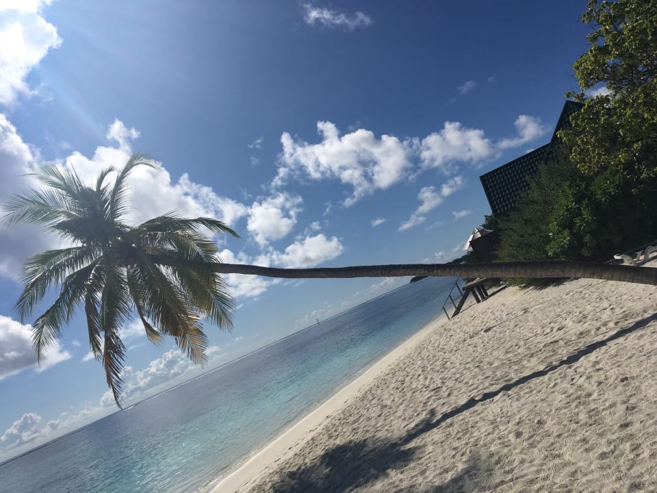 Strand Meeru Maldives Resort Island
