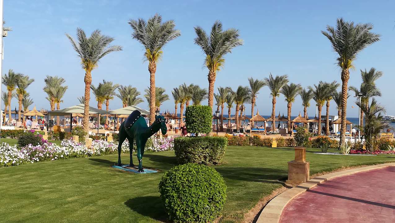Gartenanlage Pickalbatros Palace Resort