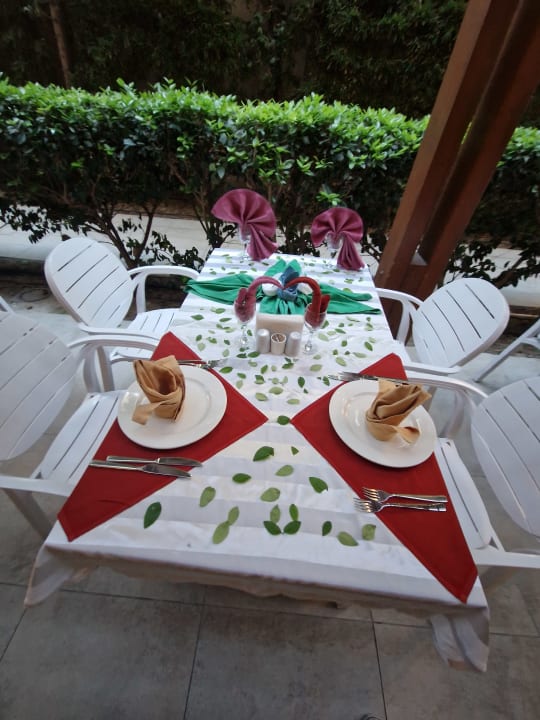 Gastro Well Palace Side