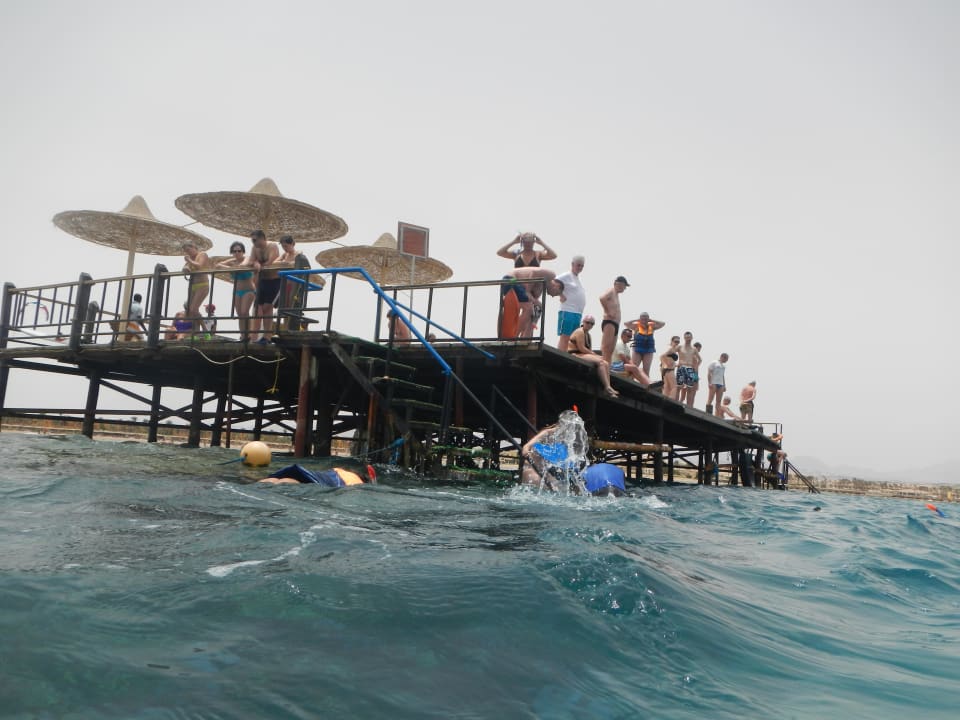 Einstieg ganz hinten am Steg wo das Wasser tief is Stella Beach Resort & Spa Makadi Bay