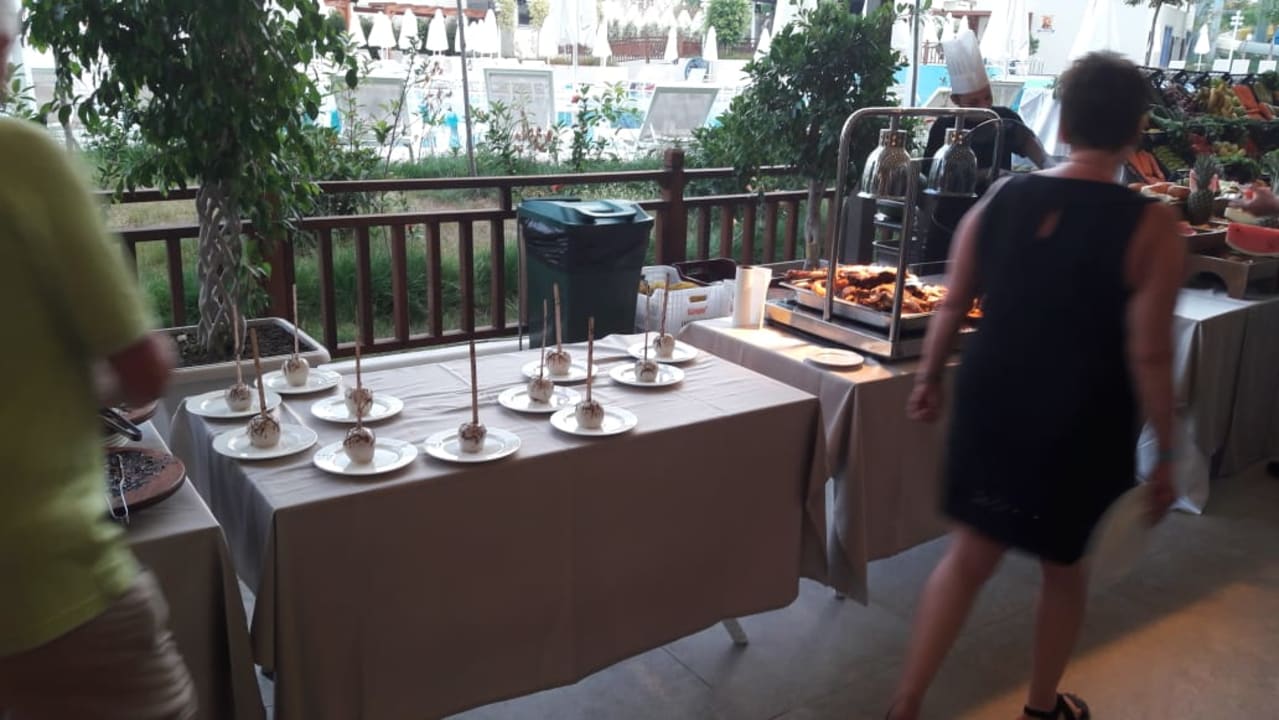 Das Essen der Hammer Seashell Vega