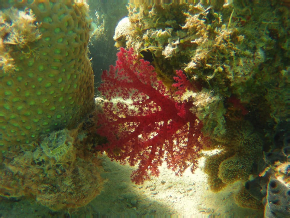 Strand Steigenberger Aqua Magic