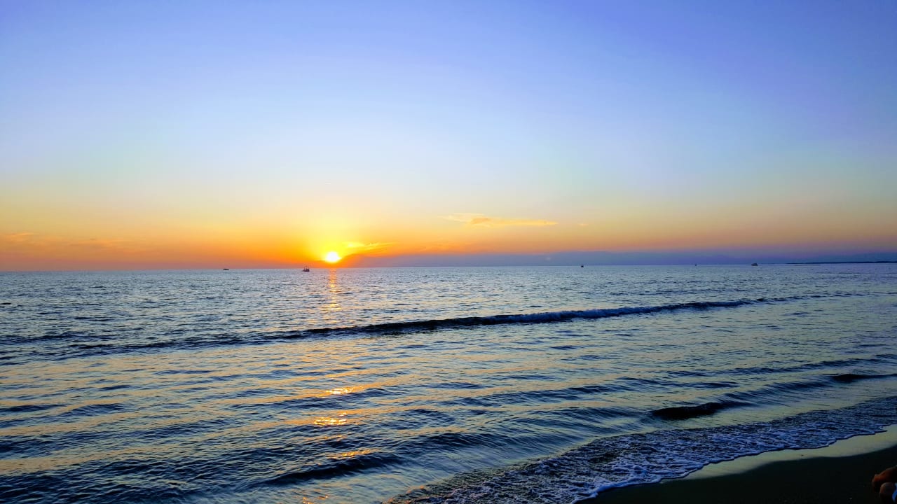 Strand Acanthus Cennet Barut Collection
