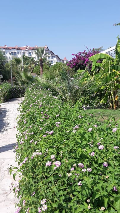 Blick vom Strand auf das Hotel Bella Resort & Spa