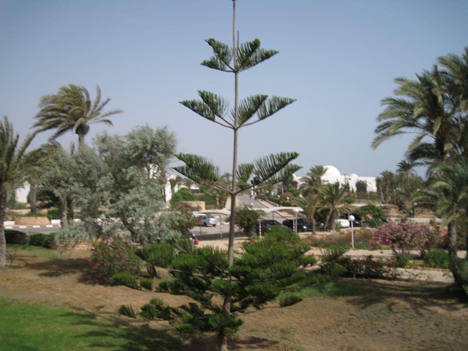Vom Balkon die Außsicht Hotel El Mouradi Djerba Menzel