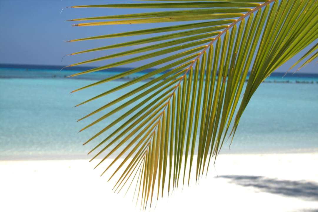 Süd Summer Island Maldives