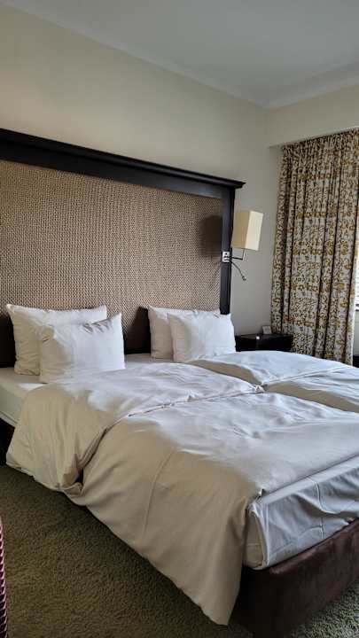 Zimmer Radisson Blu Senator Hotel