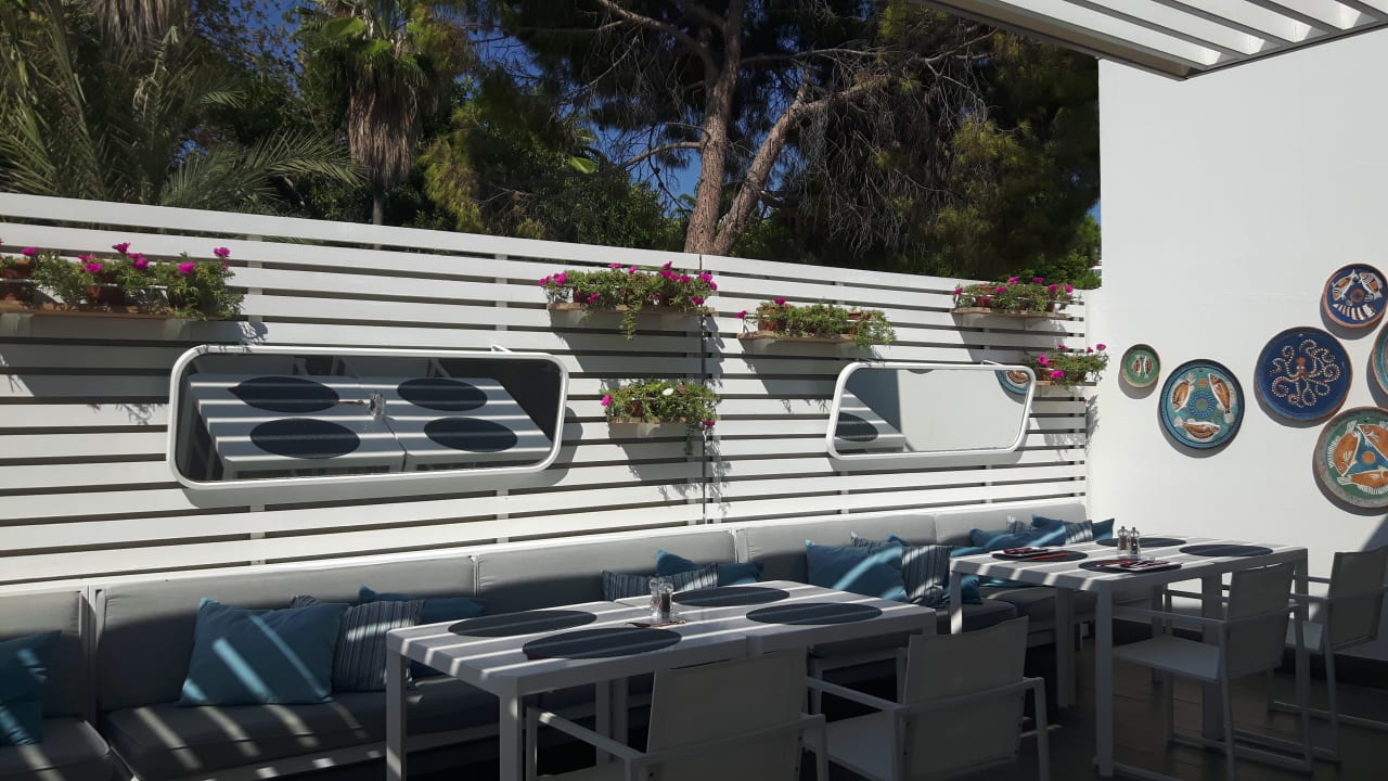 Gastro Acanthus Cennet Barut Collection