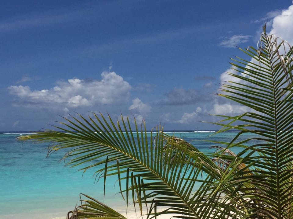 Strand Meeru Maldives Resort Island