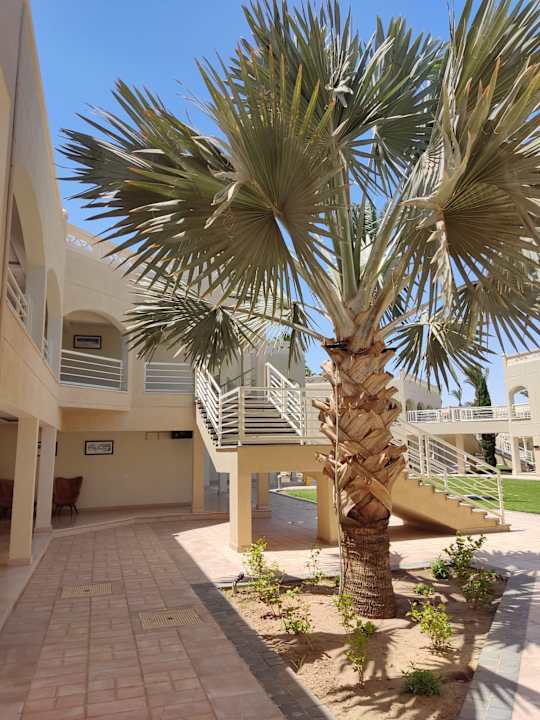 Außenansicht Beach Albatros Resort